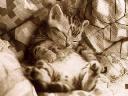 bedtime2.jpg