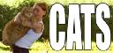 cats_title.jpg