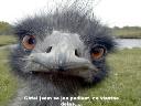kontrola1.jpg
