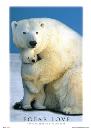polar love.jpg