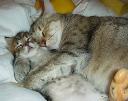 sleep06.jpg