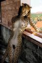 bodypaint_7.jpg