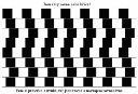 klam13.gif