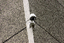 CRW_5771.jpg