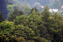 CRW_5773.jpg