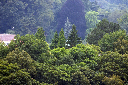 CRW_5774.jpg
