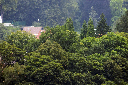 CRW_5781.jpg