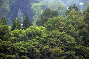 CRW_5782.jpg