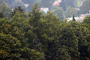 CRW_5783.jpg