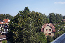 CRW_5818.jpg