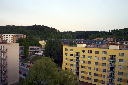 CRW_7536.jpg