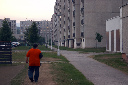 553 - 552 - cesta.jpg