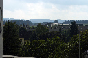 CRW_8128.jpg