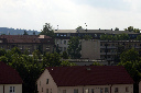 CRW_8133.jpg