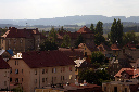 CRW_8135.jpg