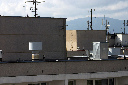 CRW_8138.jpg