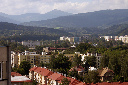 CRW_8141.jpg