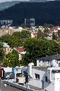 CRW_8157.jpg