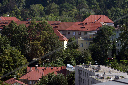 CRW_8170.jpg