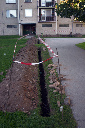 CRW_8204.jpg