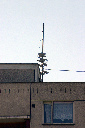 CRW_8209.jpg