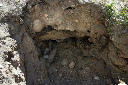 CRW_8213.jpg