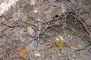 CRW_8215.jpg