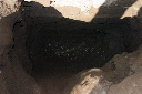 CRW_8226.jpg