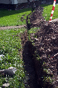 CRW_8230.jpg