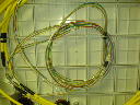 DSC00021.JPG