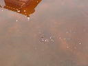 DSC00039.JPG