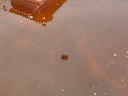 DSC00040.JPG