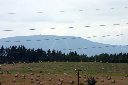 CRW_8878.jpg