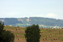 CRW_8879.jpg