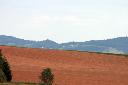 CRW_8880.jpg