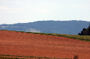 CRW_8881.jpg