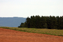 CRW_8882.jpg