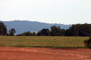 CRW_8884.jpg