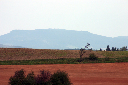 CRW_8888.jpg