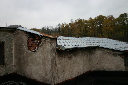 IMG_9165.jpg