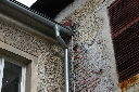 IMG_9184.jpg