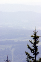 CRW_0024.jpg