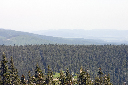 CRW_9895.jpg
