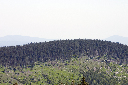 CRW_9897.jpg