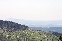 CRW_9898.jpg