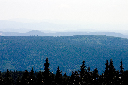 CRW_9901.jpg
