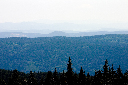 CRW_9902.jpg
