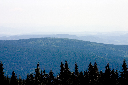 CRW_9903.jpg