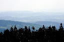CRW_9905.jpg