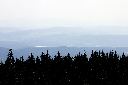 CRW_9906.jpg